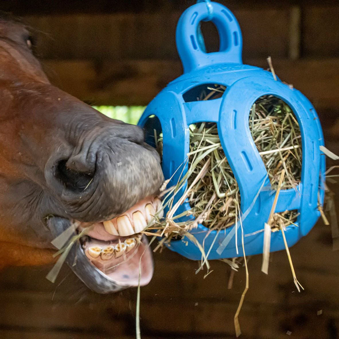 Jolly Hay Ball, 8" – Interactive Horse & Livestock Toy for Hay Feeding and Enrichment - Image 3