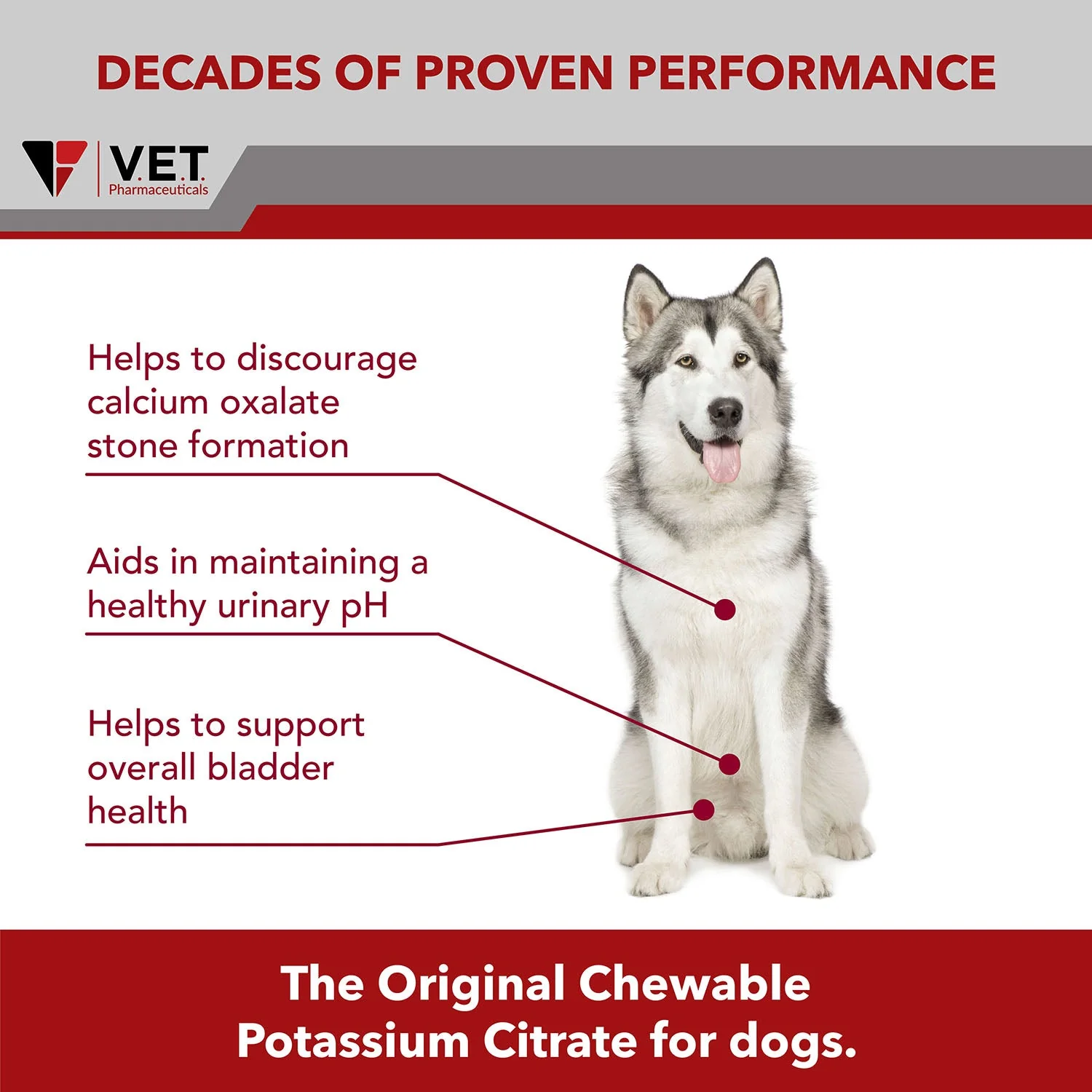 K-CIT-V Potassium Citrate for Dogs, 100 Chewable Tablets - Image 5