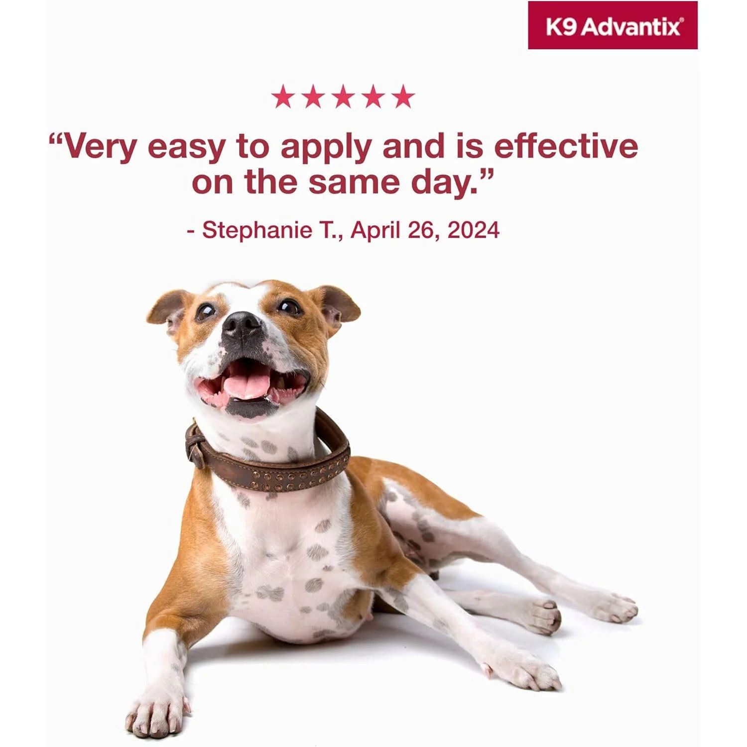 K9 Advantix Topical Flea Treatment for Dogs, 2 Pack - Image 8