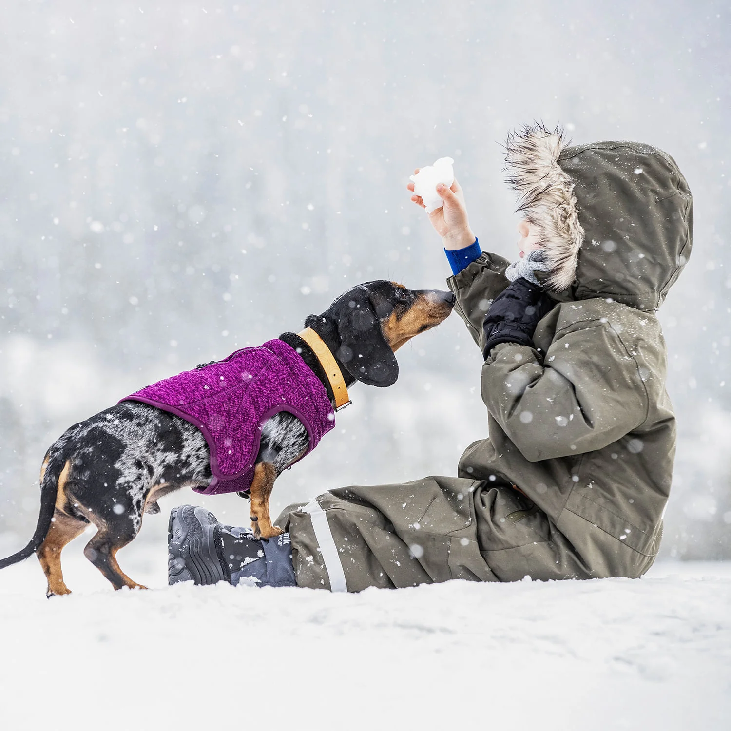Kurgo K9 Core Dog Sweater - Image 13