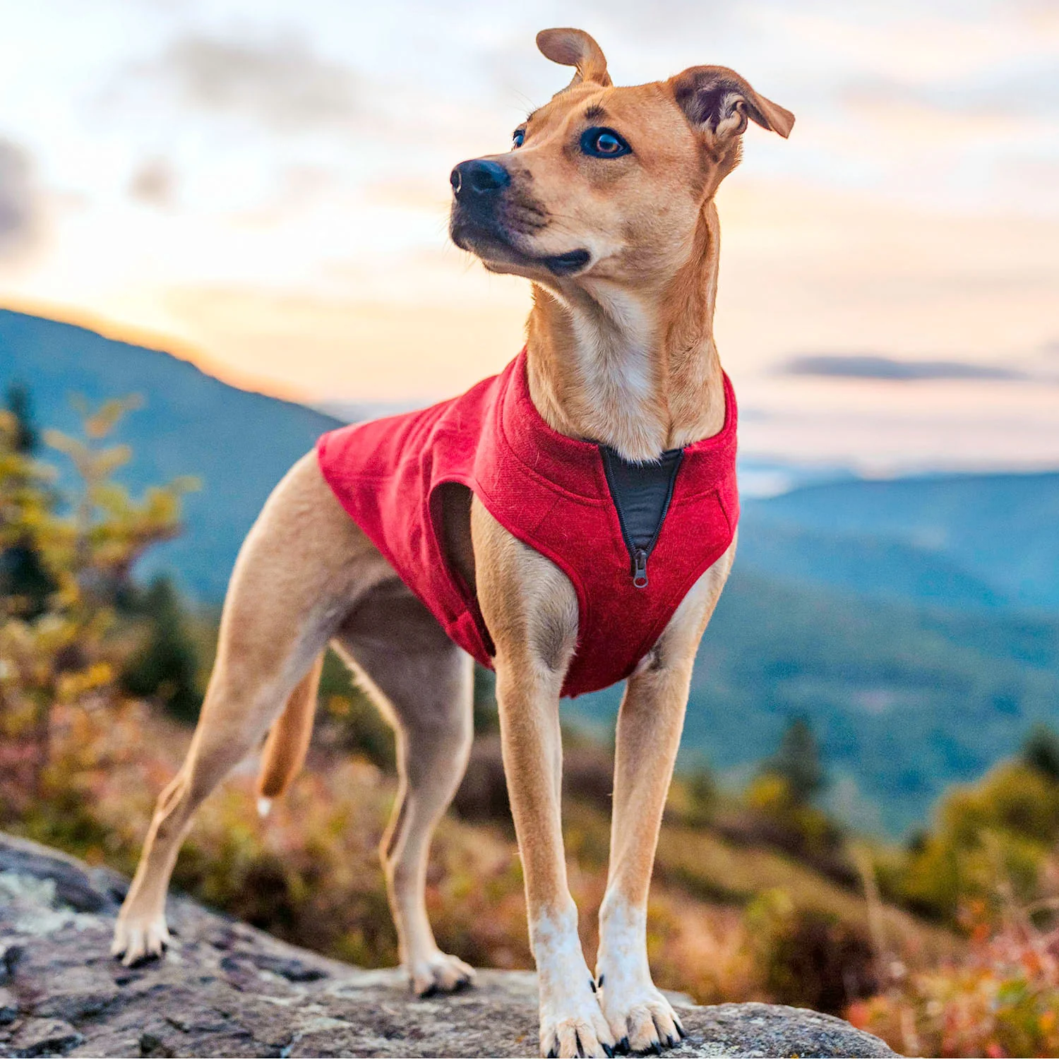 Kurgo K9 Core Dog Sweater - Image 2