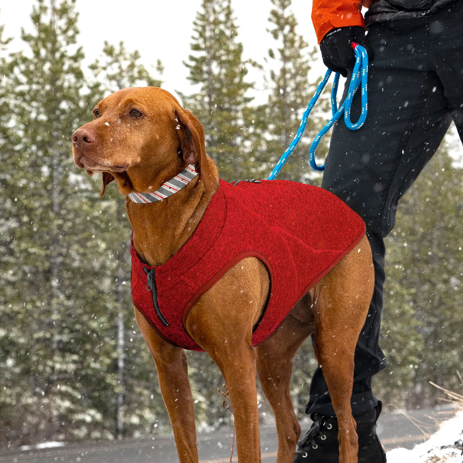 Kurgo K9 Core Dog Sweater - Image 3