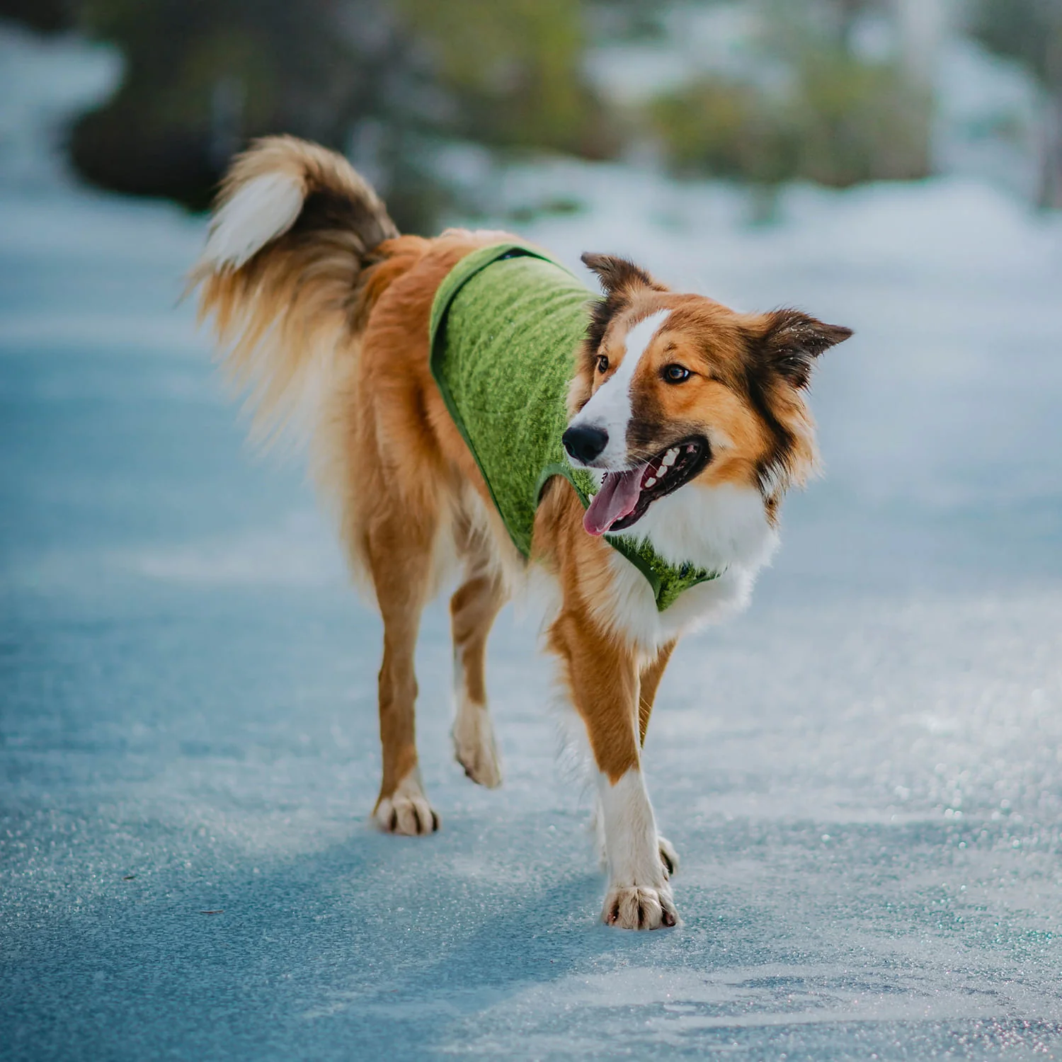 Kurgo K9 Core Dog Sweater - Image 40
