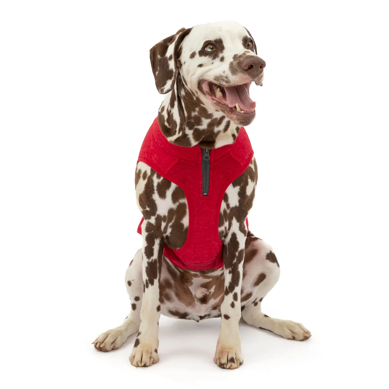 Kurgo K9 Core Dog Sweater - Image 5