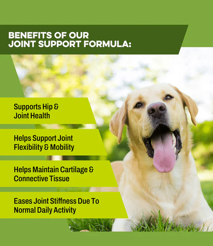 K9 Power Joint Strong Joint Support Formula for Dogs - Image 7