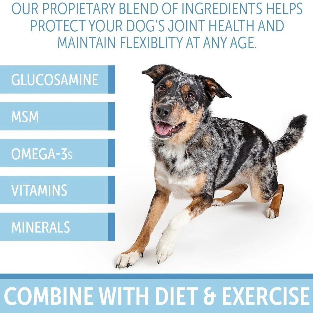 K9 Optimal Joint Health Soft Chew - Image 5