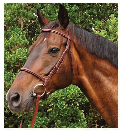 Weatherbeeta Kincade Plain Raised Bridle, Full - Image 4