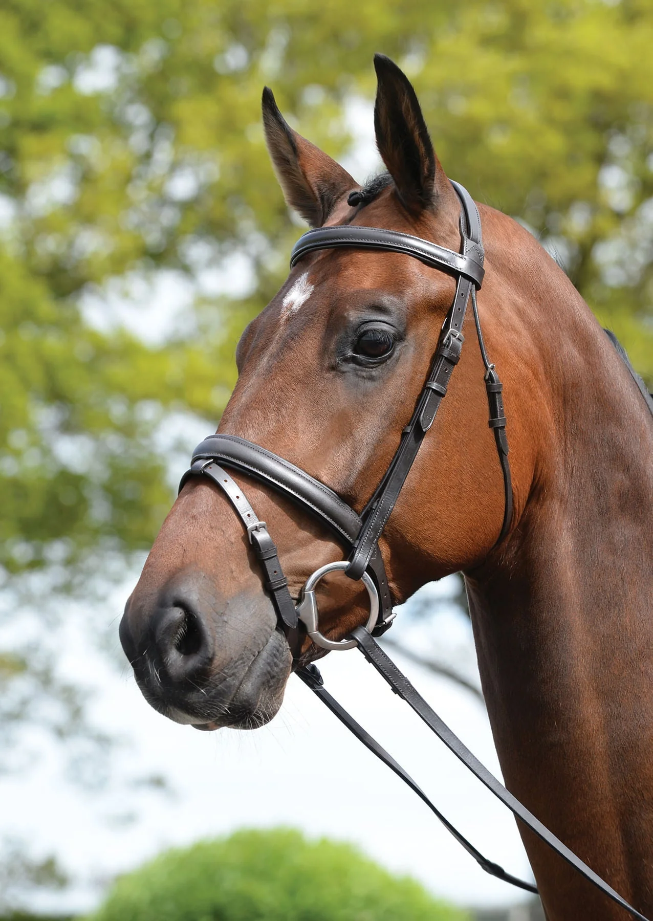 Kincade Leather Padded Flash Horse Bridle - Image 10