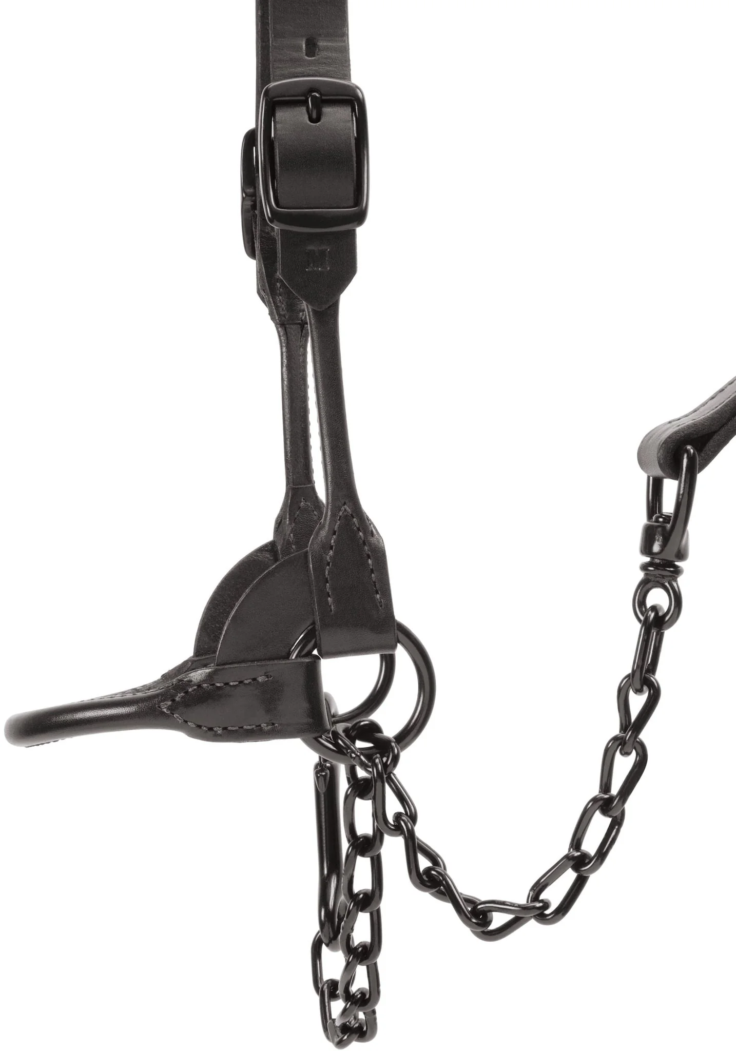 Kirk Stierwalt Black Magic Show Halter - Image 3