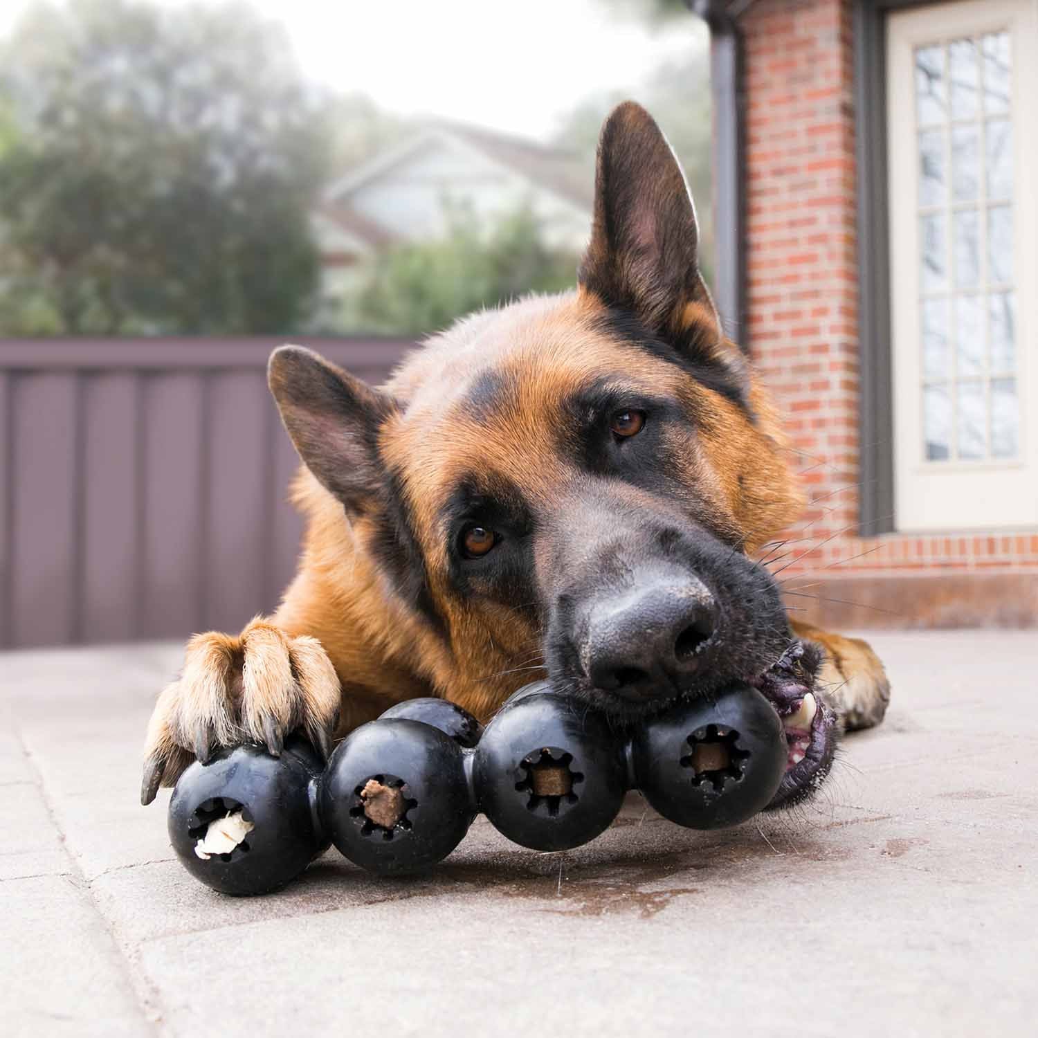 KONG Extreme Goodie Ribbon Dog Chew Toy - Image 4