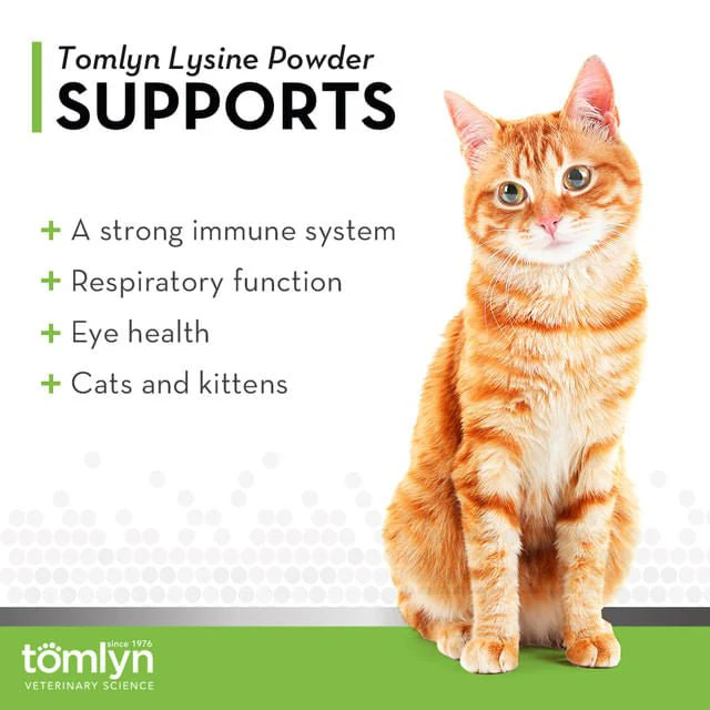 L-Lysine Powder Immune Support Supplement for Cats - Image 5