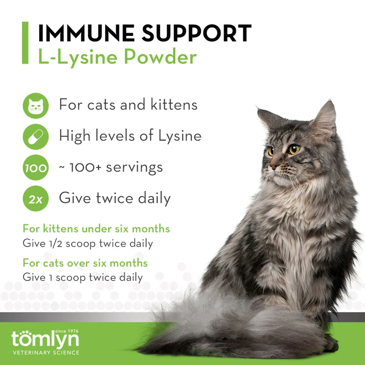 L-Lysine Powder Immune Support Supplement for Cats - Image 6