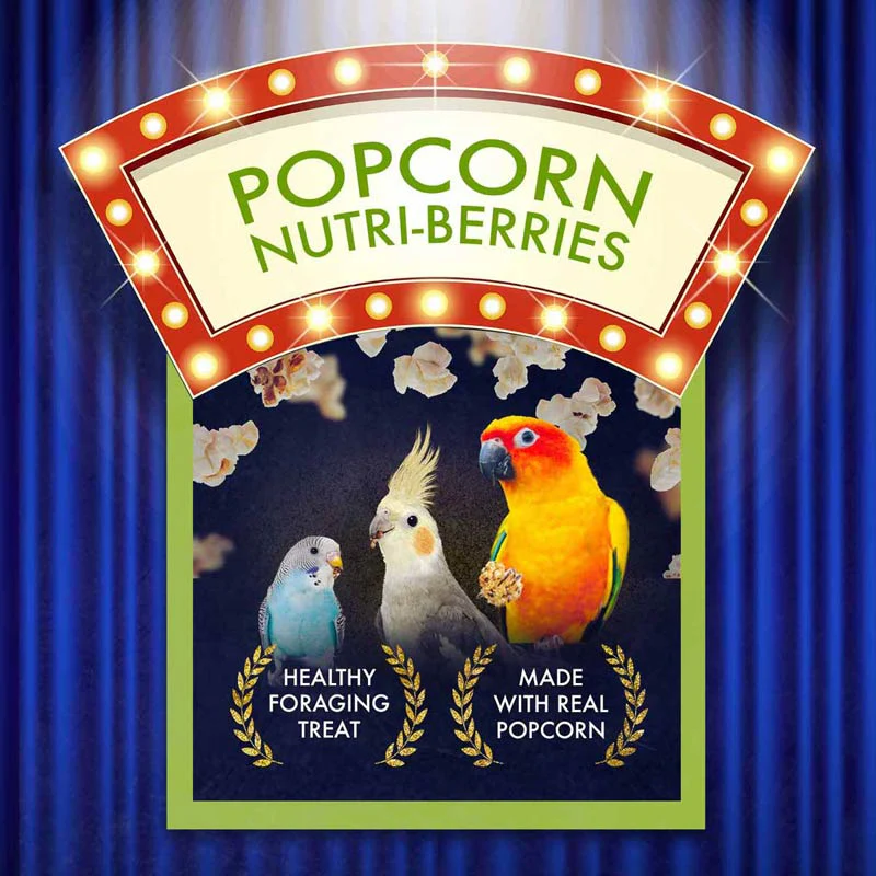 Lafeber® Popcorn Nutri-Berries® Treats for Cockatiels & Parrots - Image 3
