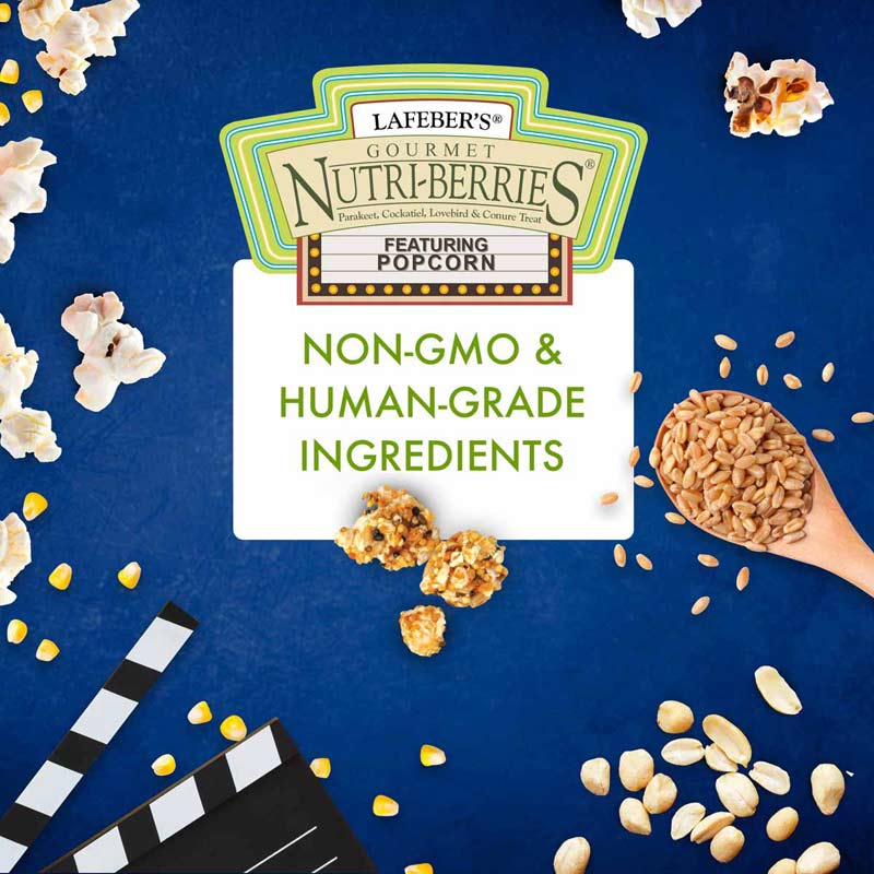 Lafeber® Popcorn Nutri-Berries® Treats for Cockatiels & Parrots - Image 4
