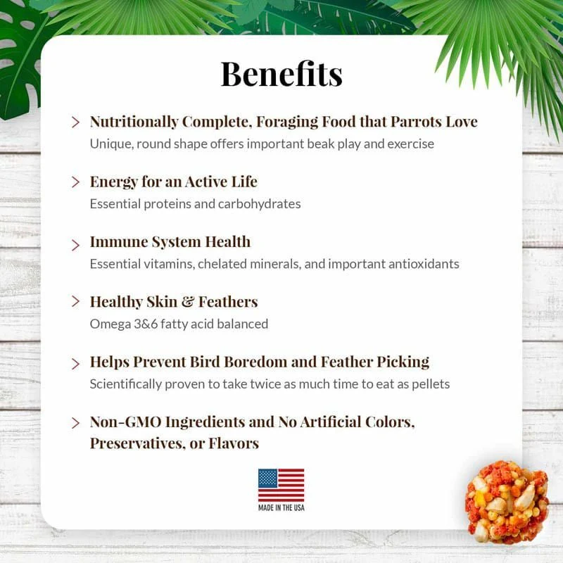 Lafeber Parrot Tropical Fruit Nutri-Berries Bird Food, 10 oz bag - Image 4