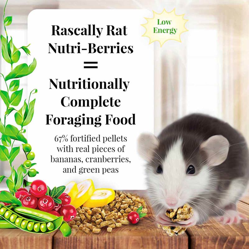 Lafeber Rascally Rat Nutri-Berries, 10 oz bag - Image 2
