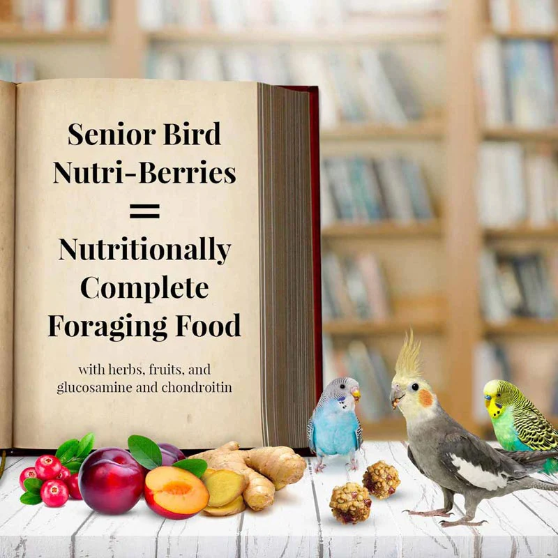 Lafeber Senior Bird Nutri-Berries for Parakeet & Cockatiel - Image 3