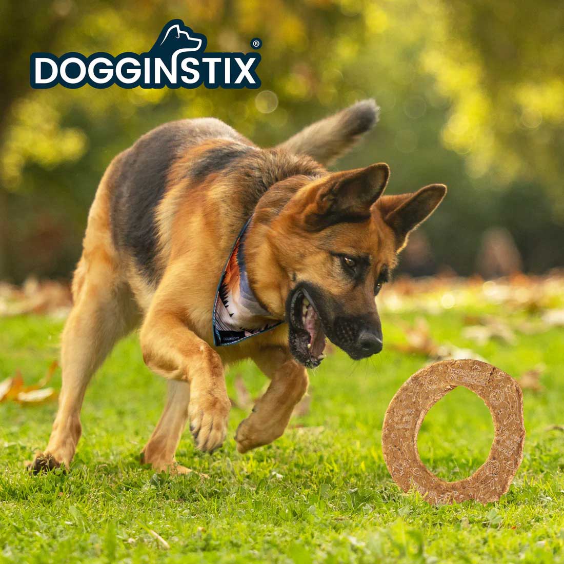 Dogginstix Lamb Collagen Cosmic Donut Dog Chew & Toy – Natural, Grass-Fed, Low Fat - Image 4