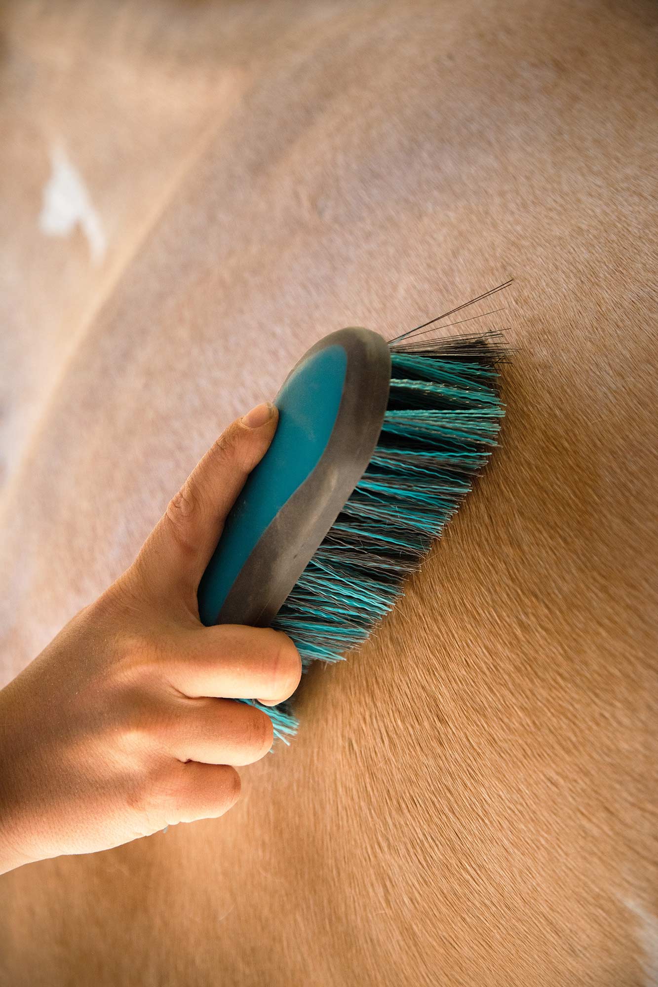 Lami-Cell Smart 2-in-1 Dandy Brush - Image 16