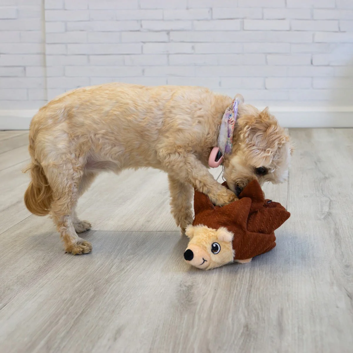 KONG Layerz Forage Animal Plush Dog Toy – Treat Puzzle with Squeaker & Crinkle - Image 12