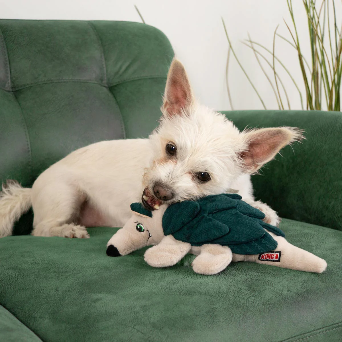 KONG Layerz Forage Animal Plush Dog Toy – Treat Puzzle with Squeaker & Crinkle - Image 6