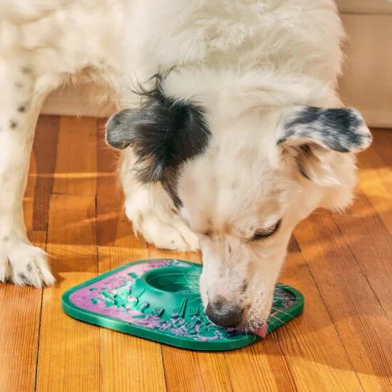 LickMat Slow Feeder Puzzle Mat for Dogs – Interactive, Non-Slip, BPA-Free Enrichment & Anxiety Relief - Image 11