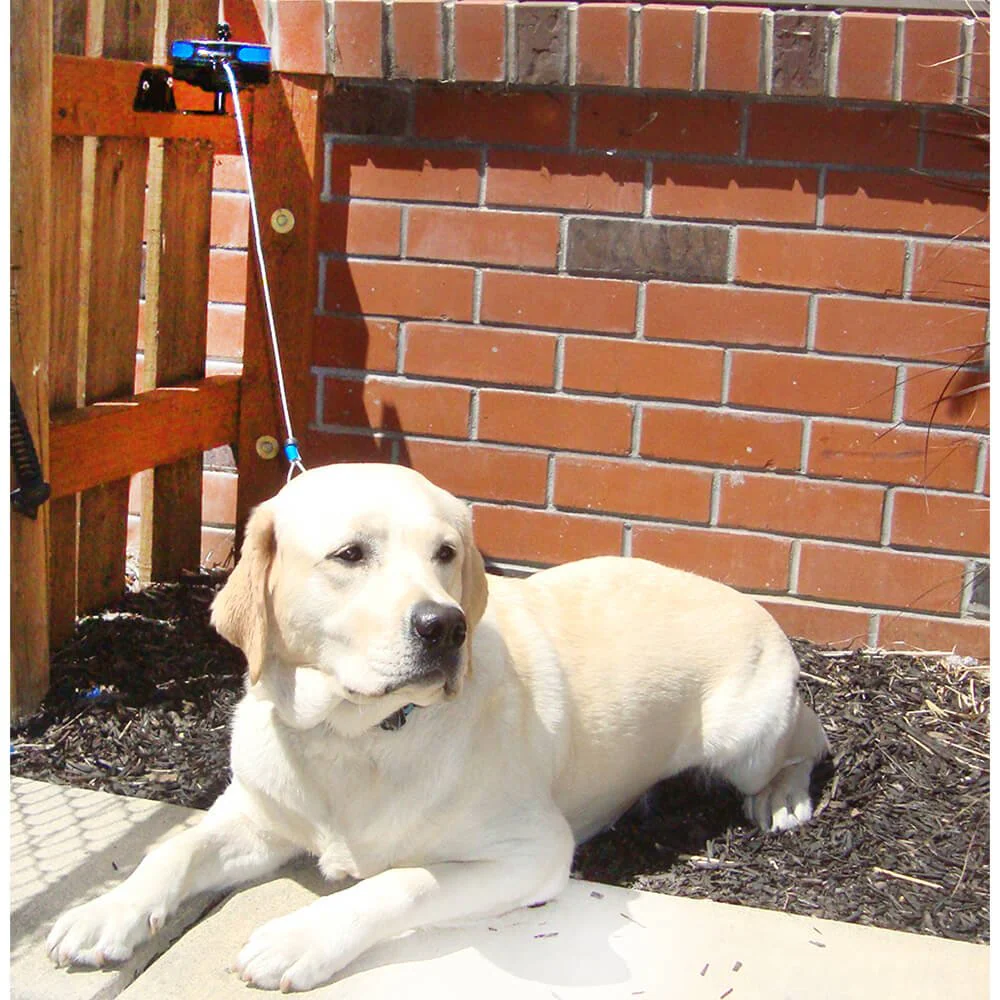 Lixit Bracket Mount Retractable Tie Out Reel for Dogs - Image 3