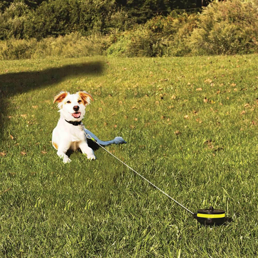 Lixit Retractable Cable Tie Out for Dogs - Image 8