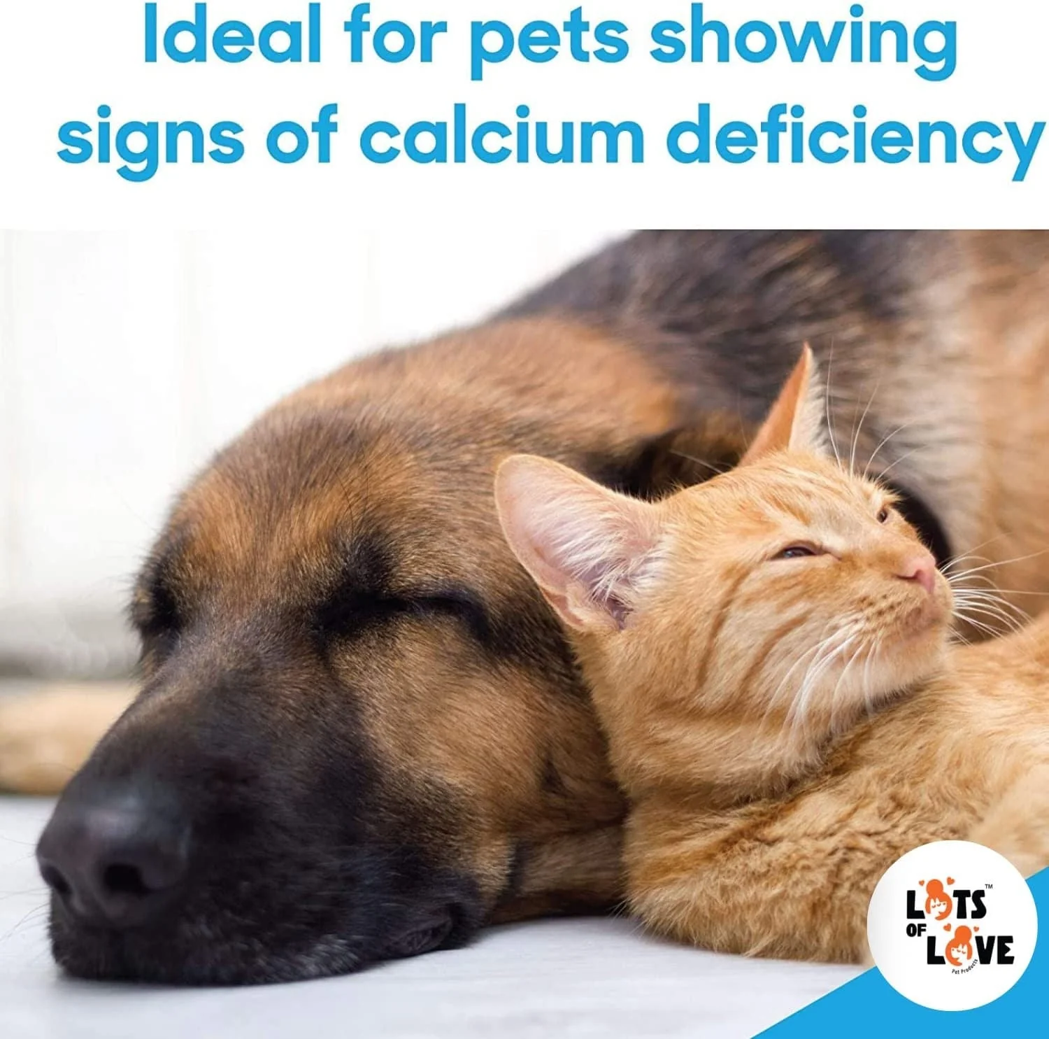 Calcium Now Calcium Supplement for Dogs - Image 7