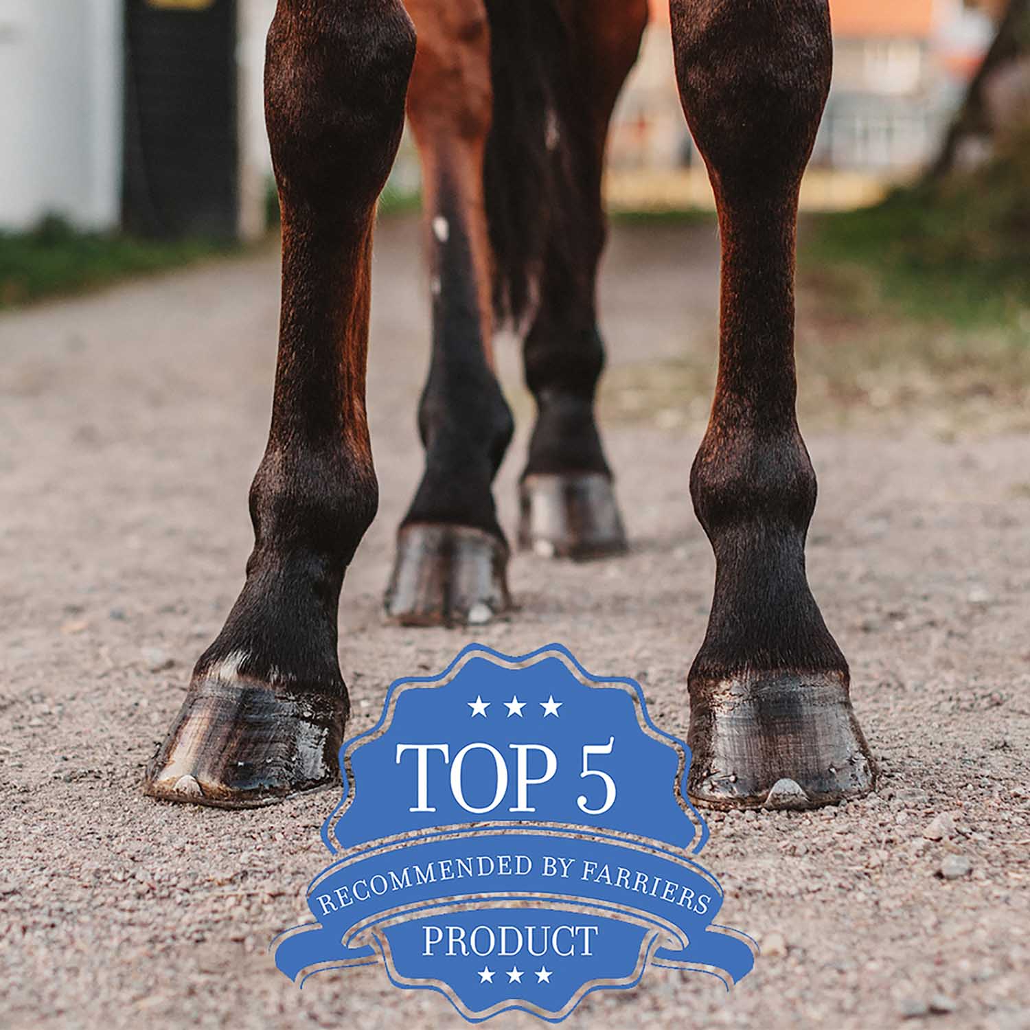 Hooflex Magic Cushion Hoof Packing for Horses - Image 5