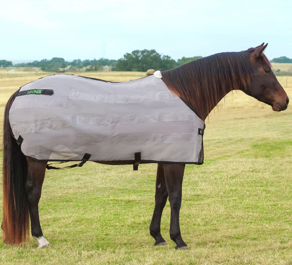Classic Equine MagNTX Magnetic Horse Therapy Sheet - Image 4