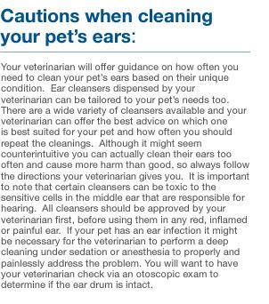 Dechra Mal-A-Ket Plus TrizEDTA Antibacterial & Antifungal Flush for Dogs & Cats - Image 9