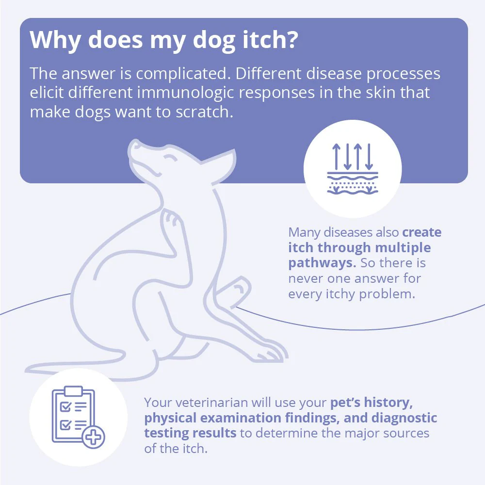 Mal-A-Ket Plus TrizEDTA Dog & Cat Spray Conditioner, 8 oz - Image 3