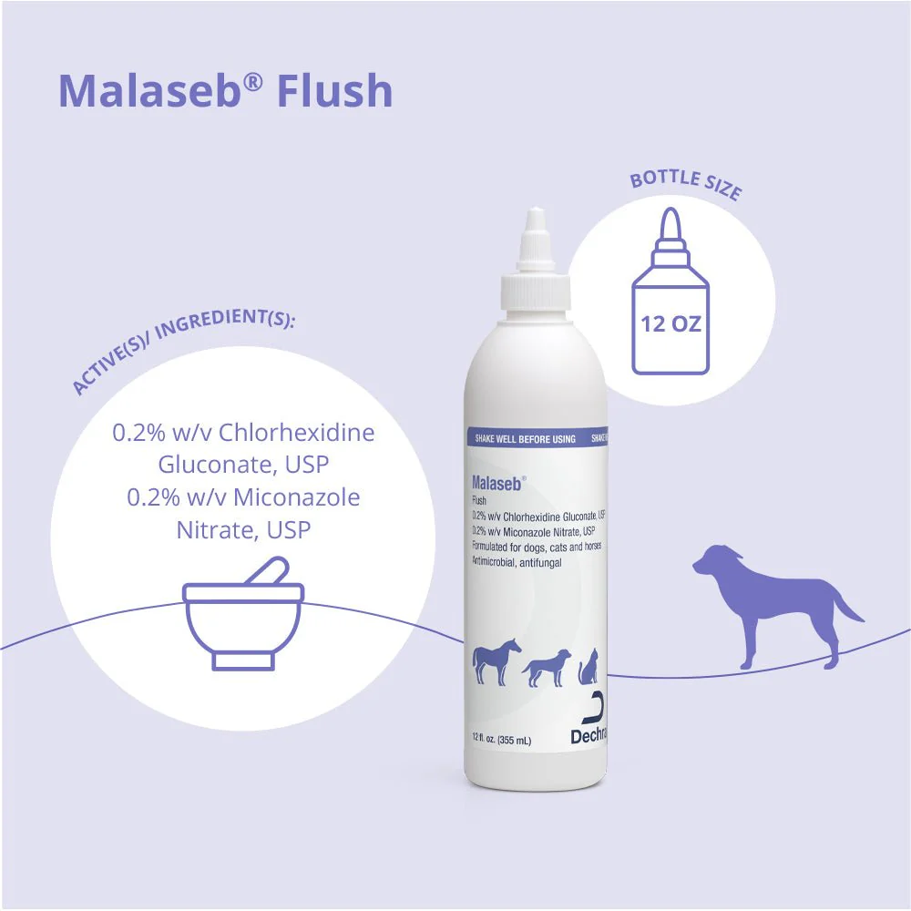 Malaseb Flush – Medicated Antibacterial & Antifungal Skin Flush for Dogs, Cats, and Horses - Image 2