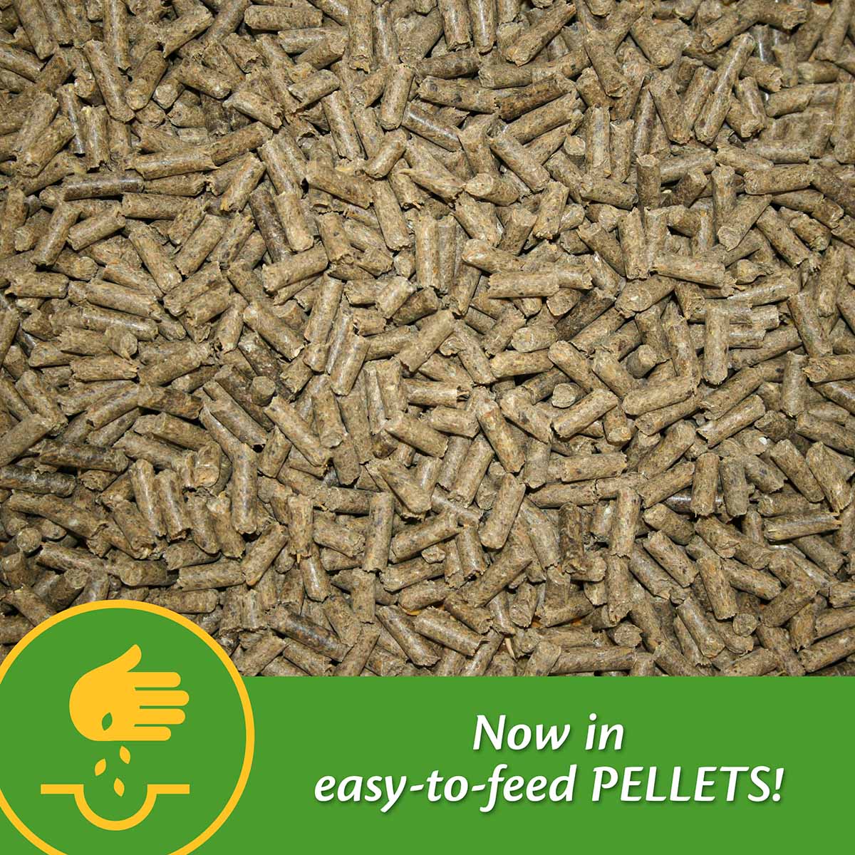 Mare Plus Gestation and Lactation Supplement, Pellets - Image 14