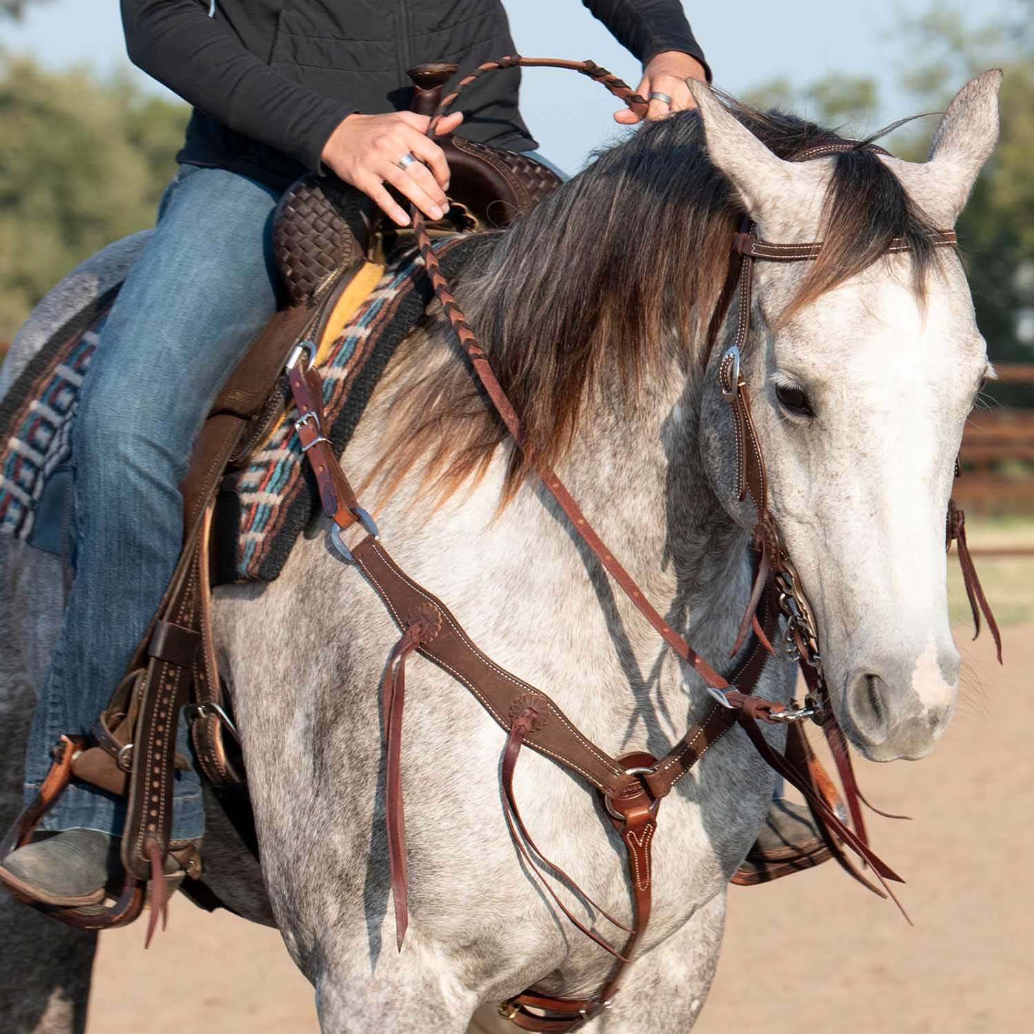 Martin Saddlery 1.5" Leather Breast Collar with Rosette Strings - Image 3