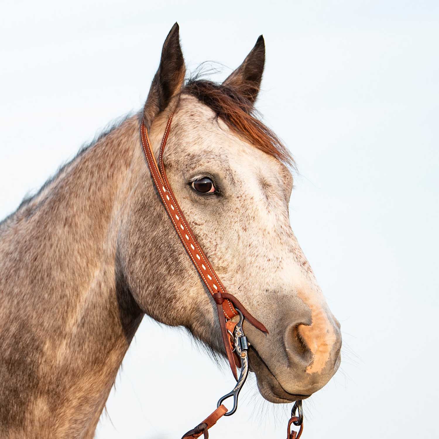 Martin Saddlery Buckstitched Leather Ranahan Headstall - Image 4