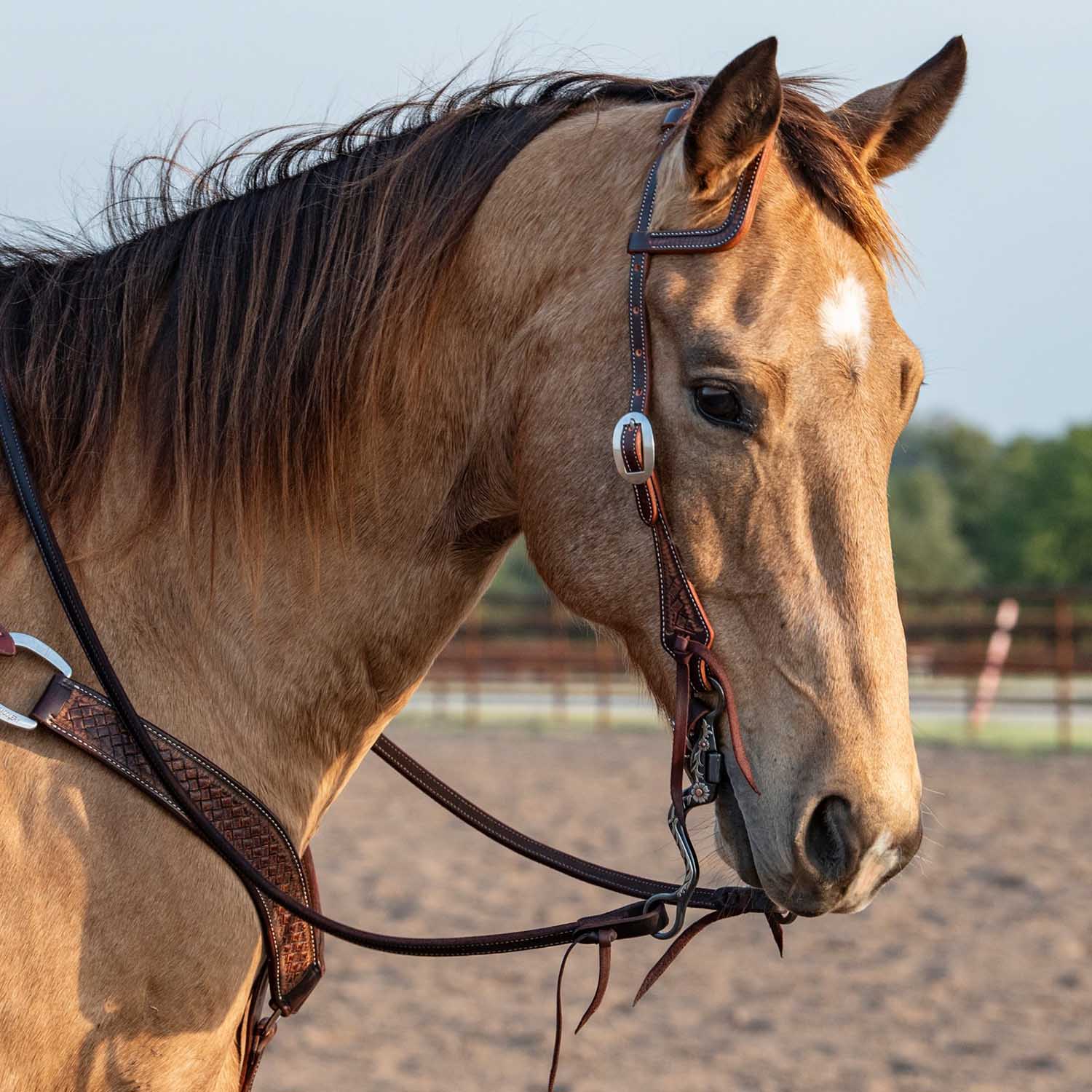Martin Saddlery Weave Stamped Leather Slip Ear Headstall - Image 4