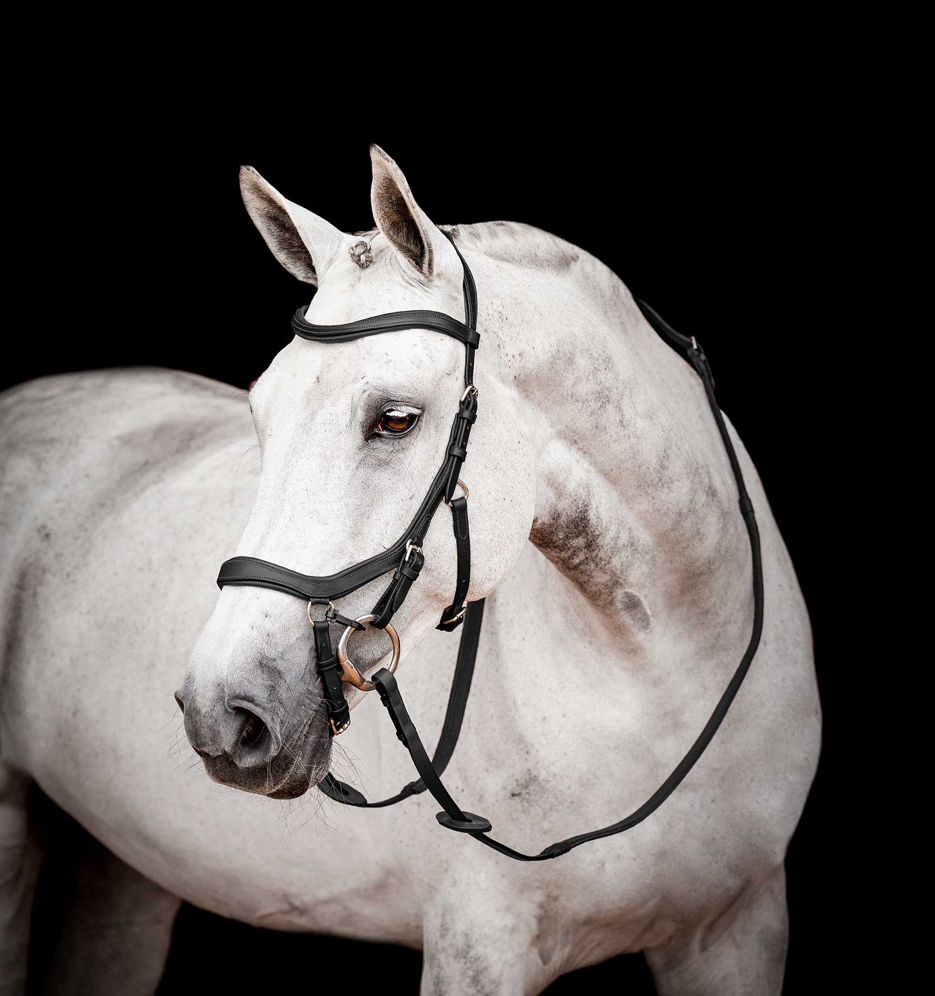 Rambo 2.0 Micklem Competition Leather Horse Bridle with Reins - Image 7