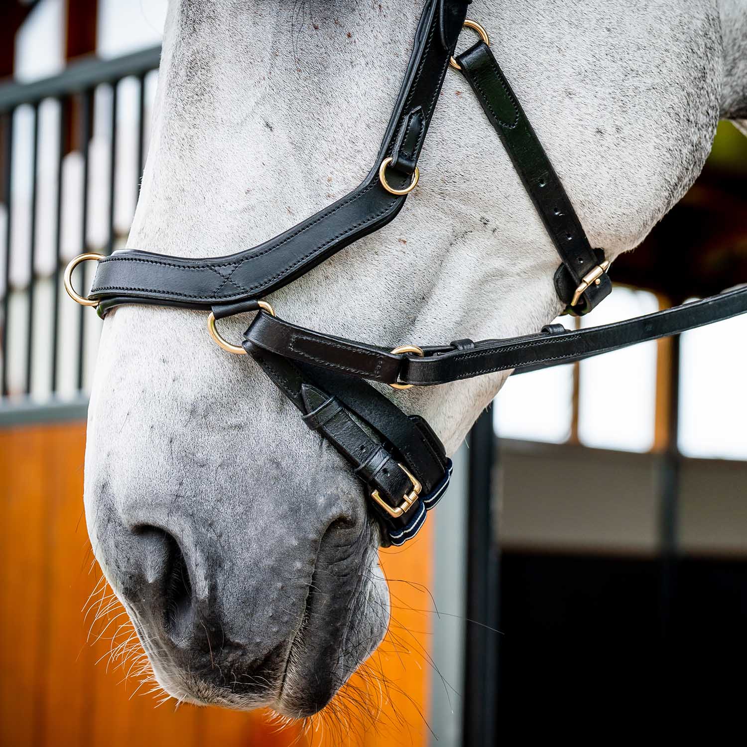 Micklem 2.0 Multi Bridle for Horses – Adjustable Bit Straps, Padded Leather, Pressure-Relief Design - Image 10