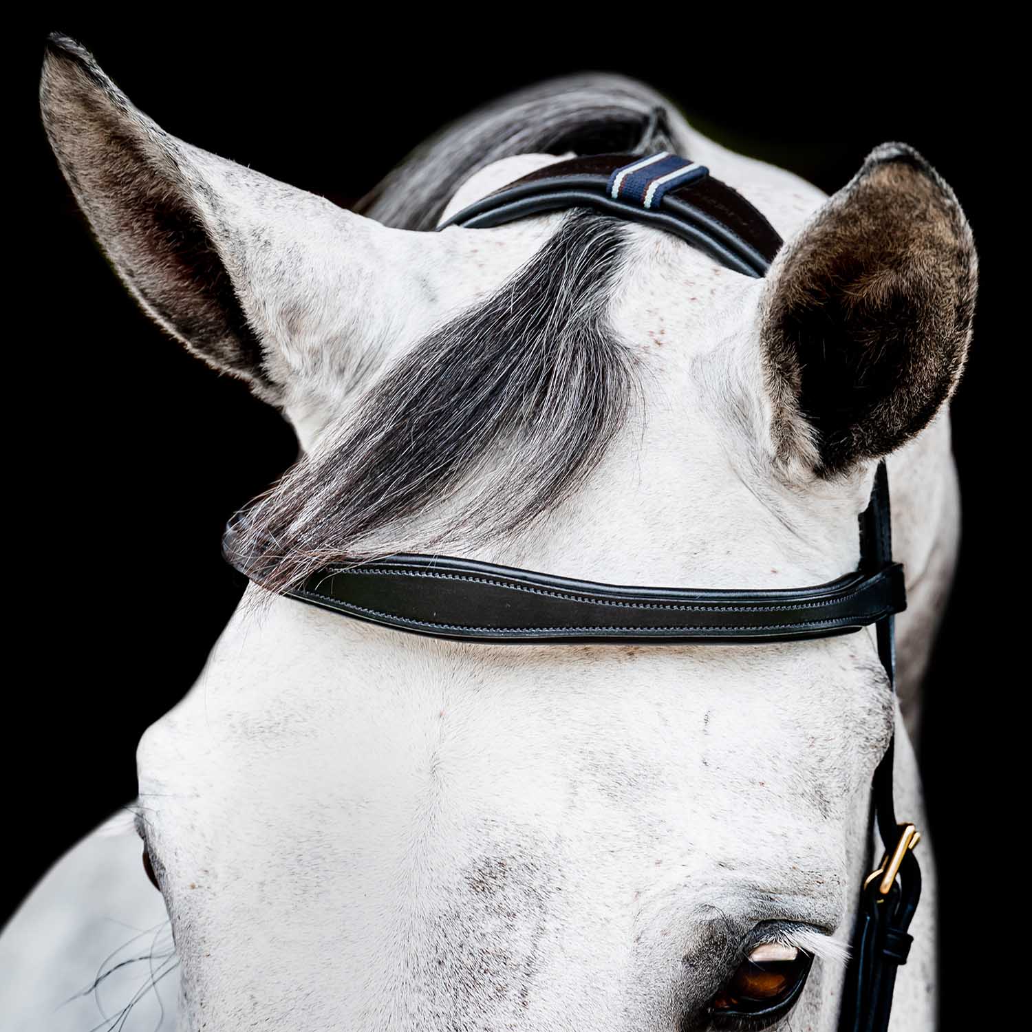 Micklem 2.0 Multi Bridle for Horses – Adjustable Bit Straps, Padded Leather, Pressure-Relief Design - Image 11