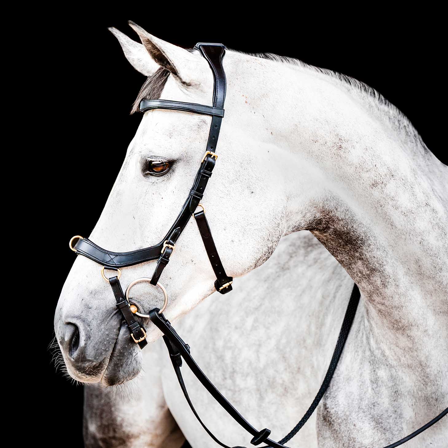 Micklem 2.0 Multi Bridle for Horses – Adjustable Bit Straps, Padded Leather, Pressure-Relief Design - Image 12