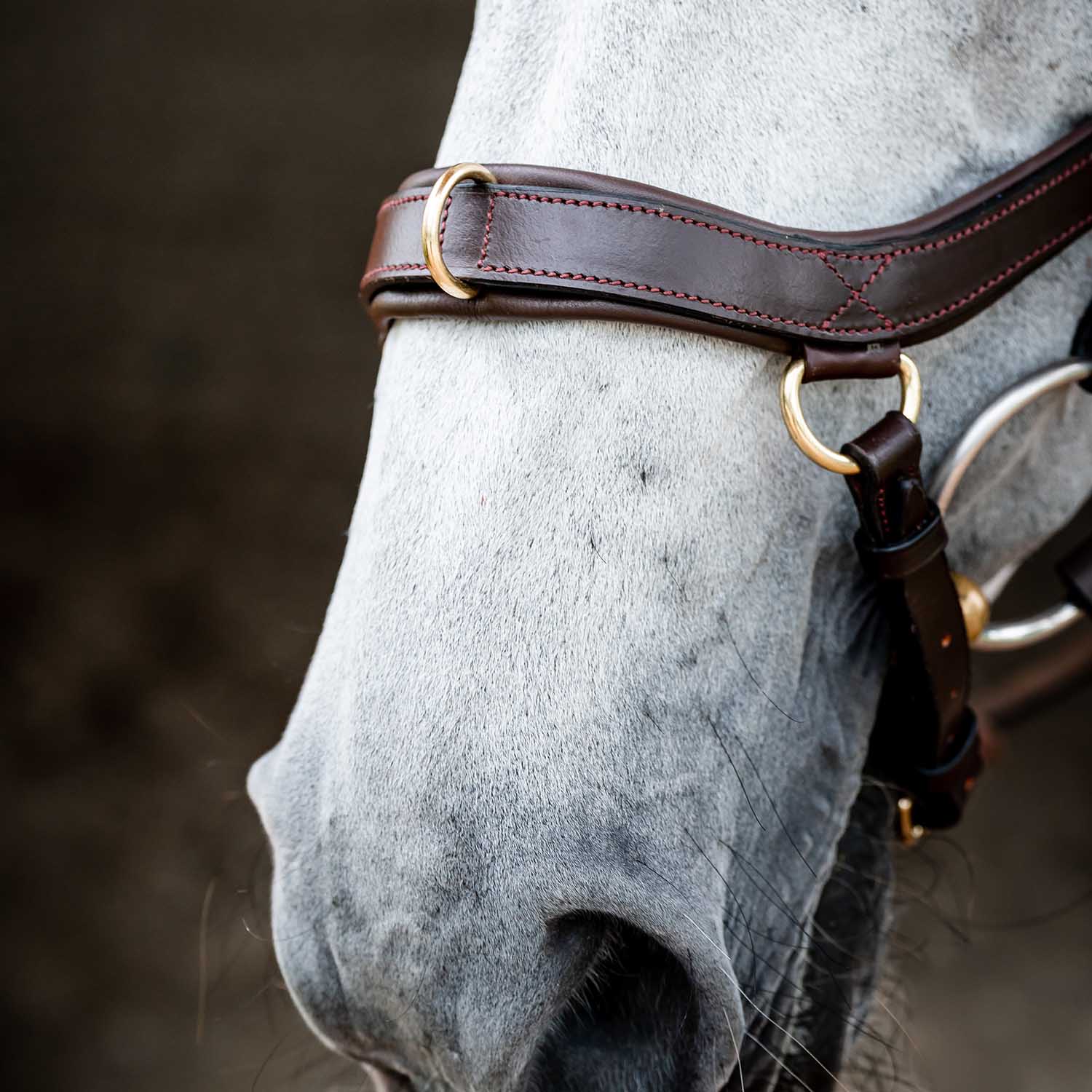 Micklem 2.0 Multi Bridle for Horses – Adjustable Bit Straps, Padded Leather, Pressure-Relief Design - Image 6
