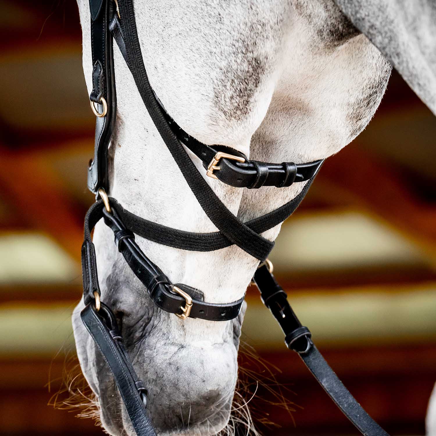 Micklem 2.0 Multi Bridle for Horses – Adjustable Bit Straps, Padded Leather, Pressure-Relief Design - Image 9