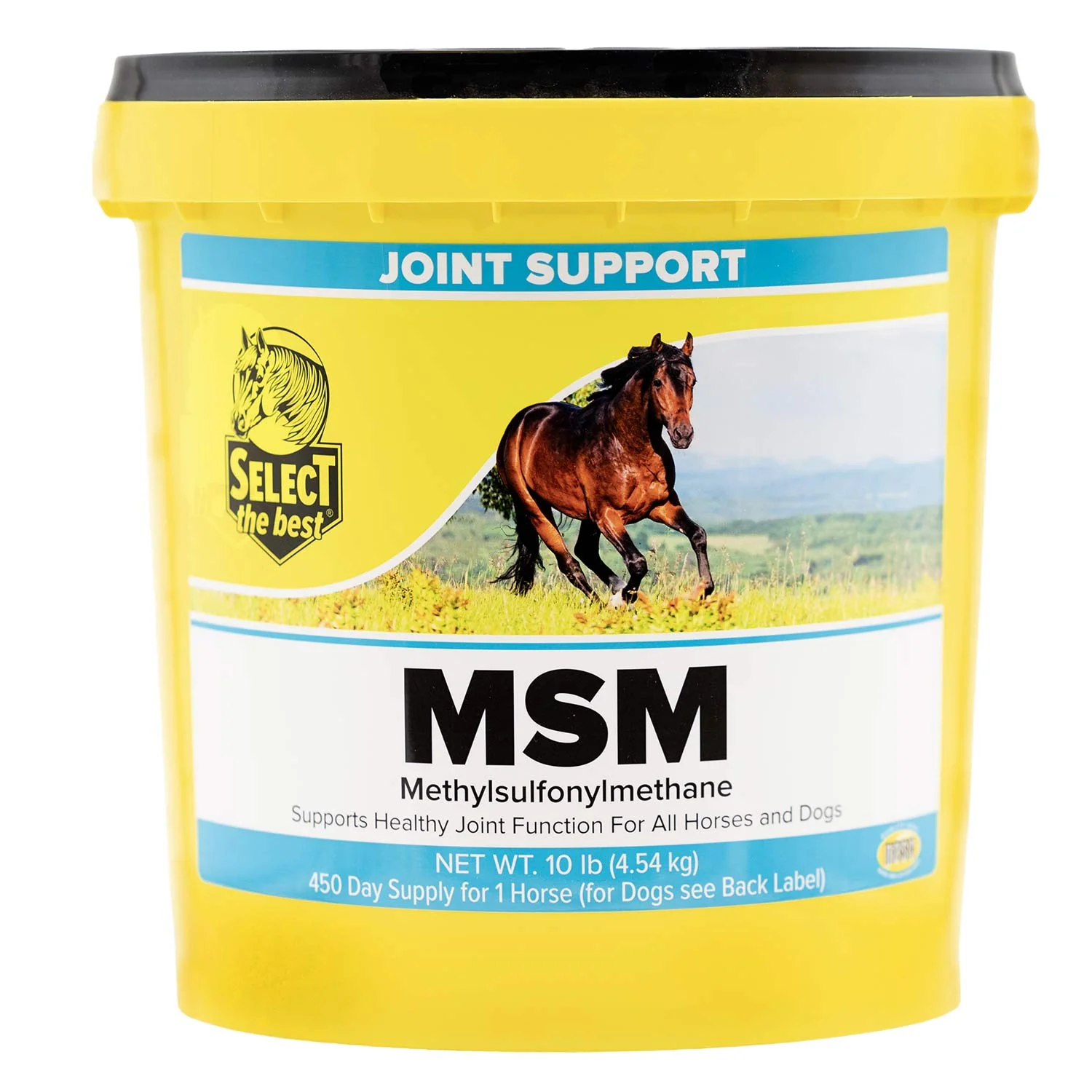 MSM Joint Support Supplement for Horses and Dogs – Hip, Joint & Mobility Health with Bioavailable Sulfur - Image 2
