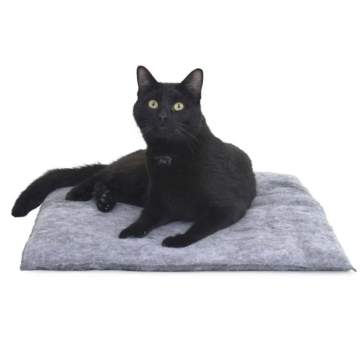 Mysterious Purr Padd for Cats - Image 7