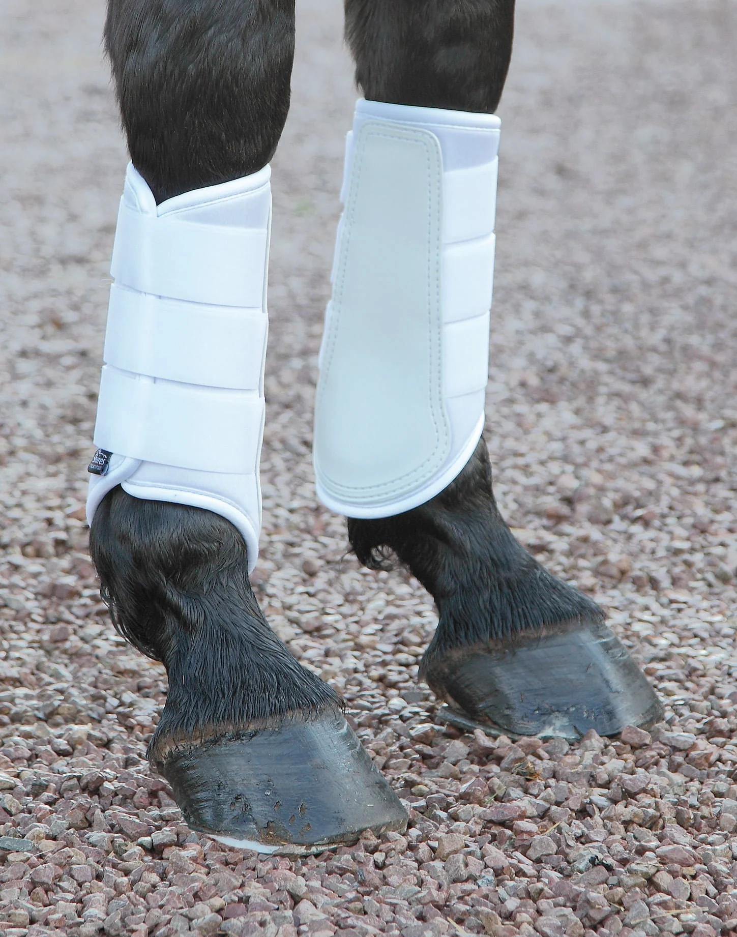 Shires Neoprene Brushing Boots - Image 11