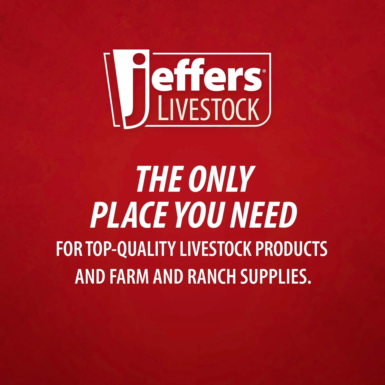 Jeffers Newberry Castrating Knife (& Replacement Blades) - Image 8