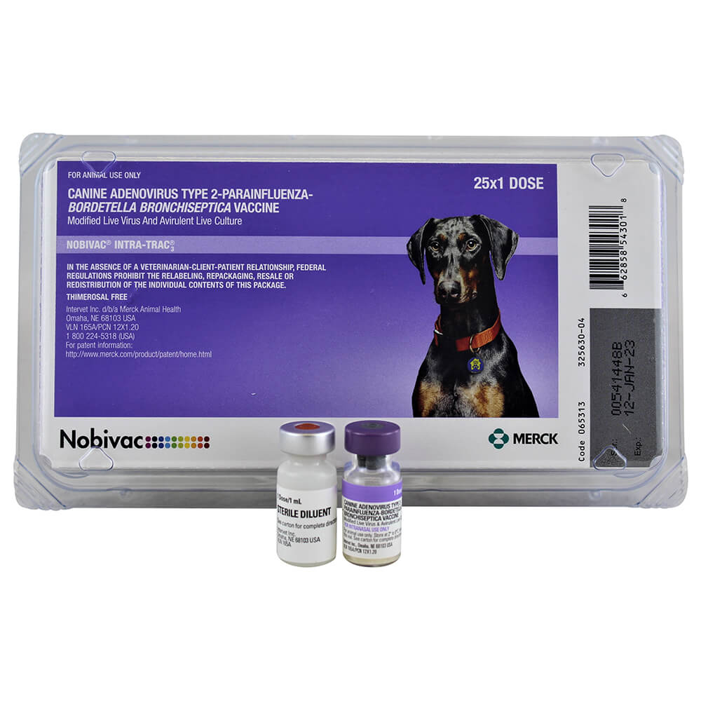 Nobivac Intra-Trac 3 Intranasal Dog Vaccine - Image 4