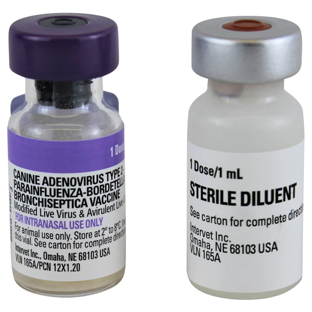 Nobivac Intra-Trac 3 Intranasal Dog Vaccine - Image 5